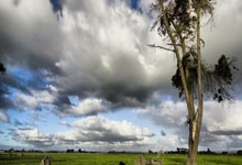 国学大师翟鸿燊讲座(万丈红尘三杯酒，千秋大业一壶茶是否为小平所题