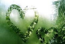 国内赏雪景点排行榜前十名(中国雪景最美的景点)(国内雪景最美的10个地方)